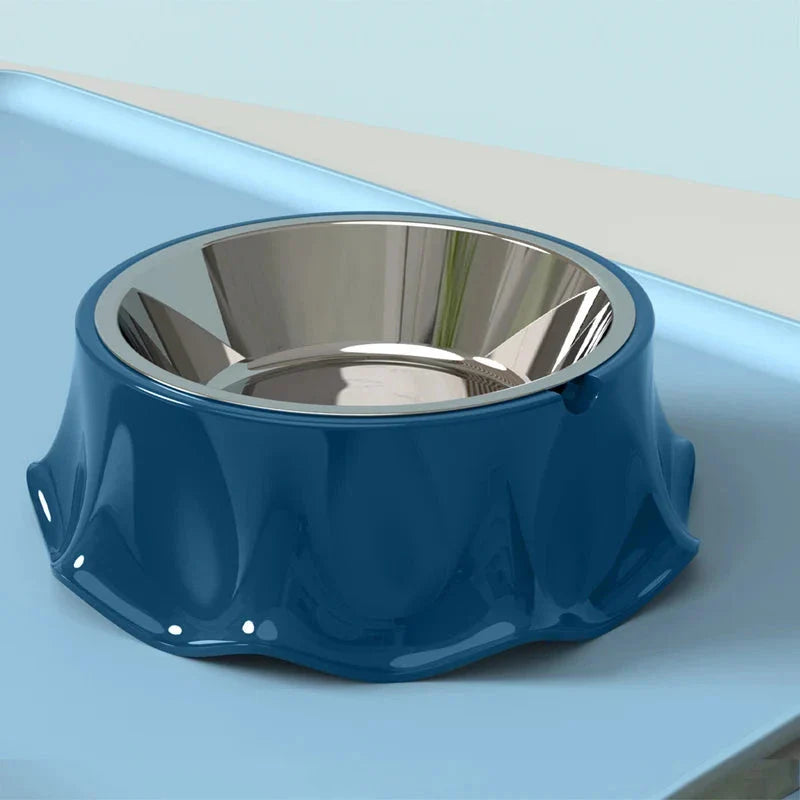 Sturdy and stylish anti-tip pet bowls in vibrant colors for Kiwi pets