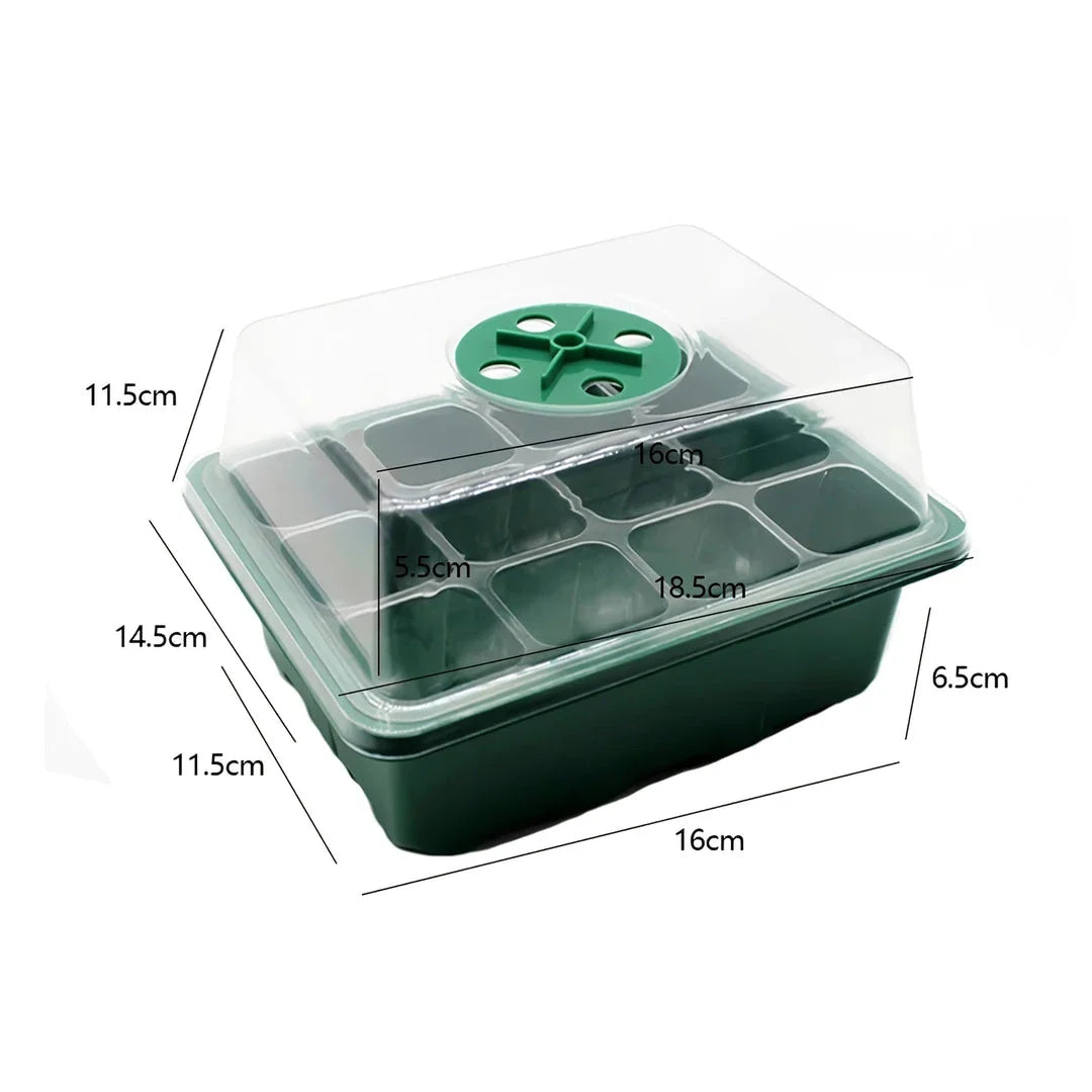 A transparent 12-cell seedling tray with a humidity dome and drainage holes, perfect for growing a variety of plants from seeds.