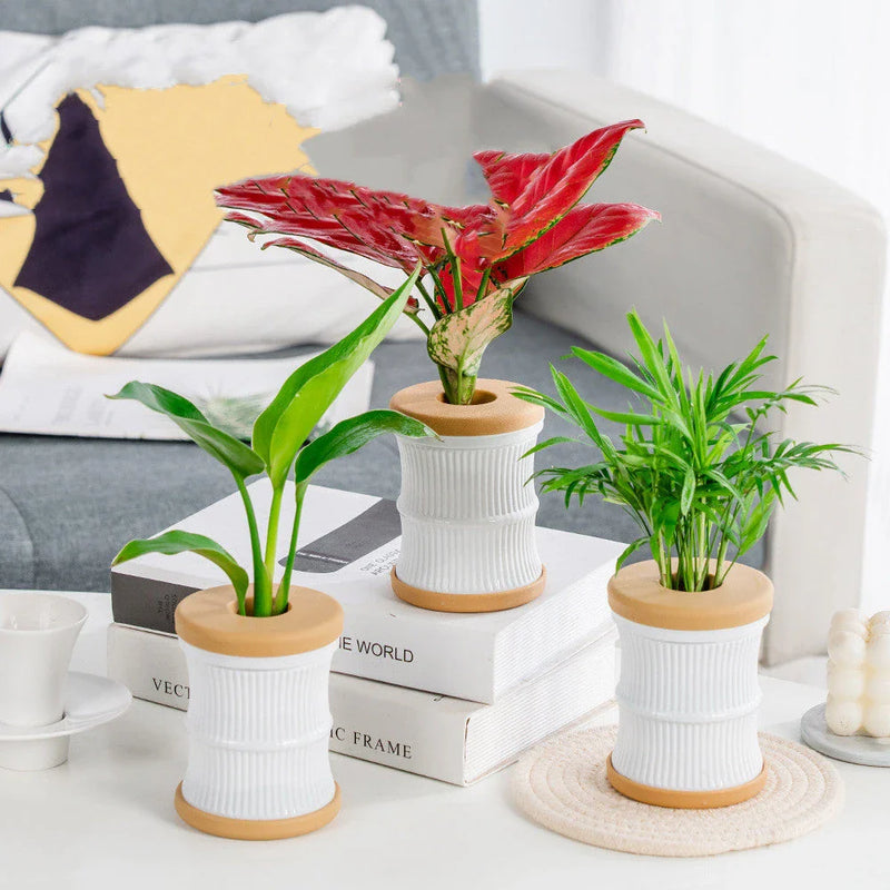 Shopfluxpro NZ Stylish Mini Hydroponic Planter for Eco-Friendly Indoor Oasis