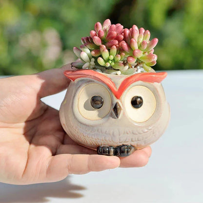 Charming Owl Ceramic Planter, a beautiful and adorable addition to Kiwi homes and offices