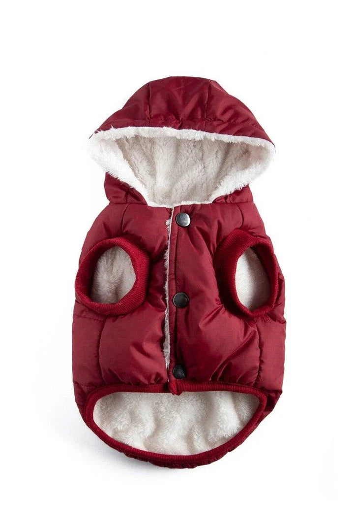 A cozy puffer jacket designed to keep Kiwi cats warm and comfortable during the colder months.