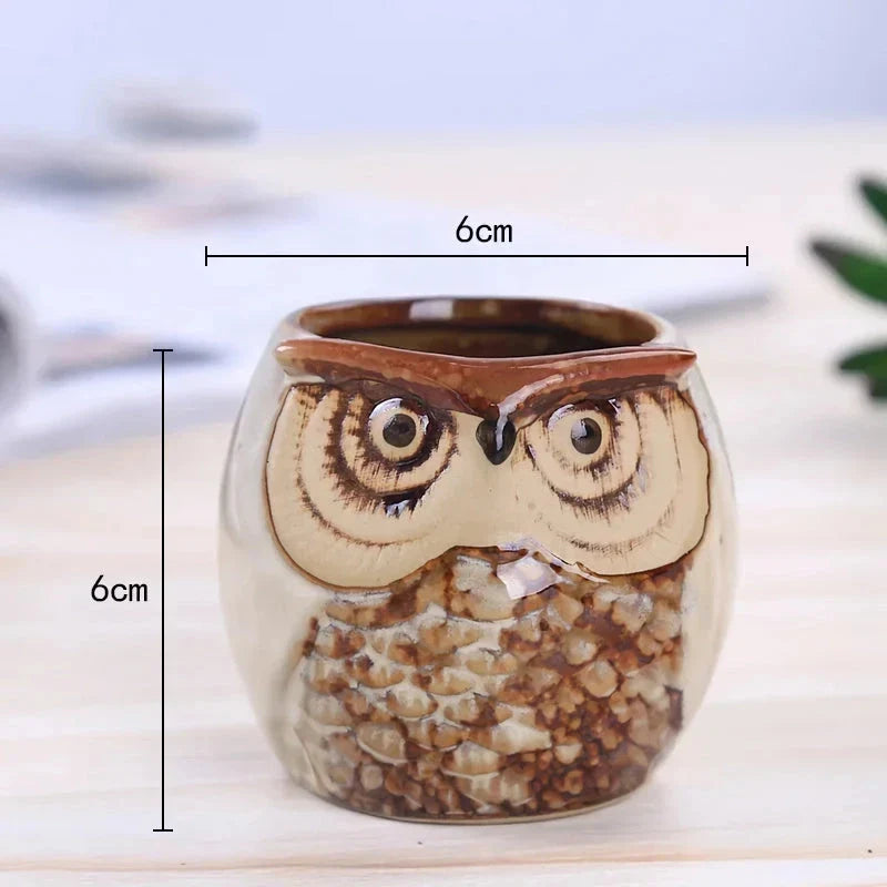 Charming mini owl-shaped ceramic plant pots in various colours, perfect for adding a unique touch to your Kiwi home or garden.