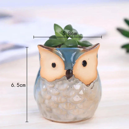 Charming mini owl-shaped ceramic plant pots in various colours, perfect for adding a unique touch to your Kiwi home or garden.