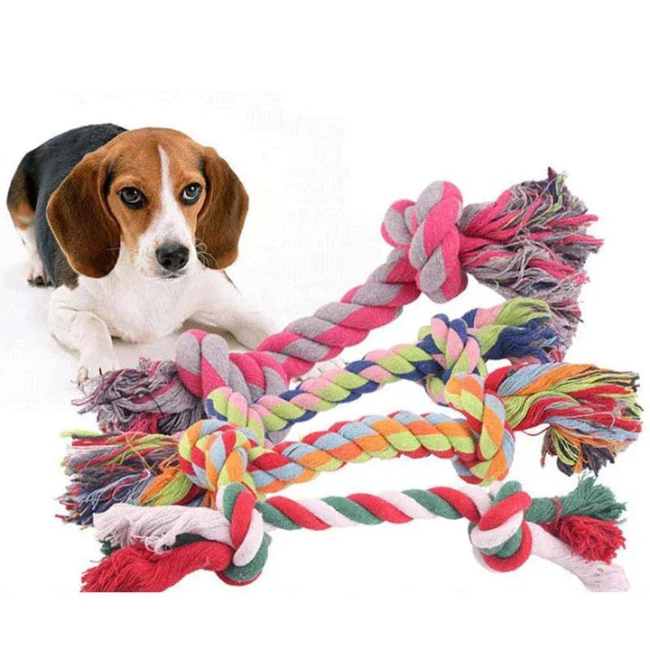 Colorful cotton rope toy for dogs in various sizes, designed for play and exercise for Kiwi canines