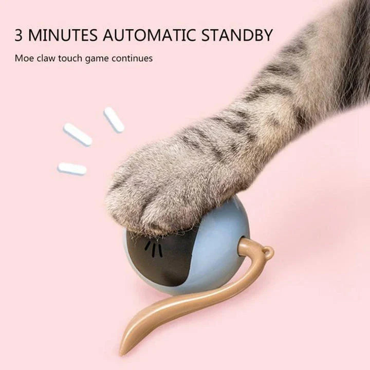 A smart interactive cat toy with a bouncing ball and colorful LED lights, designed to keep indoor cats entertained and engaged.