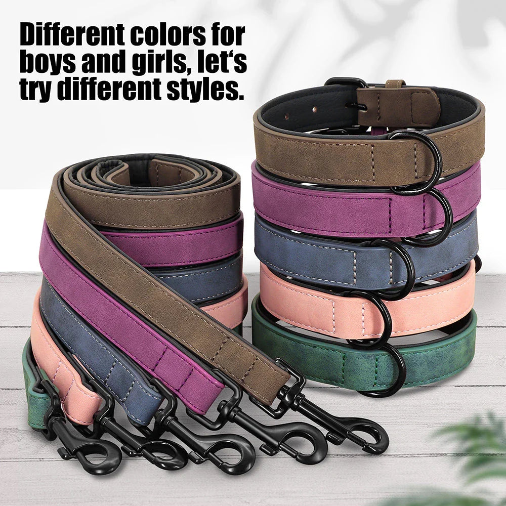 Robust padded dog collar and leash set made of high-quality leather in vibrant colours for active Kiwi pups