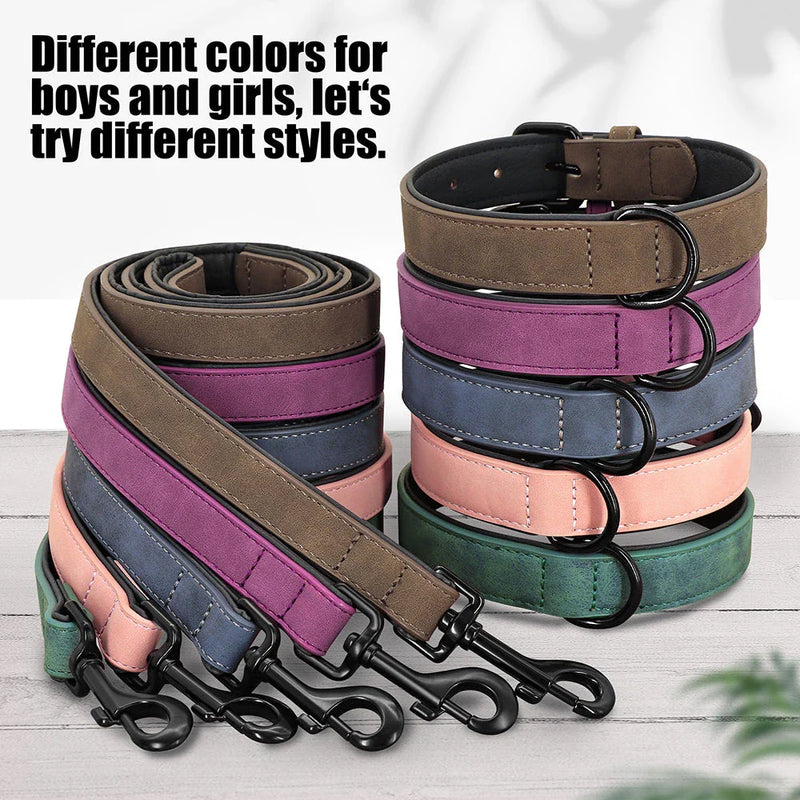 Shopfluxpro NZ Robust Padded Dog Collar and Leash Set for Large Kiwi Pups