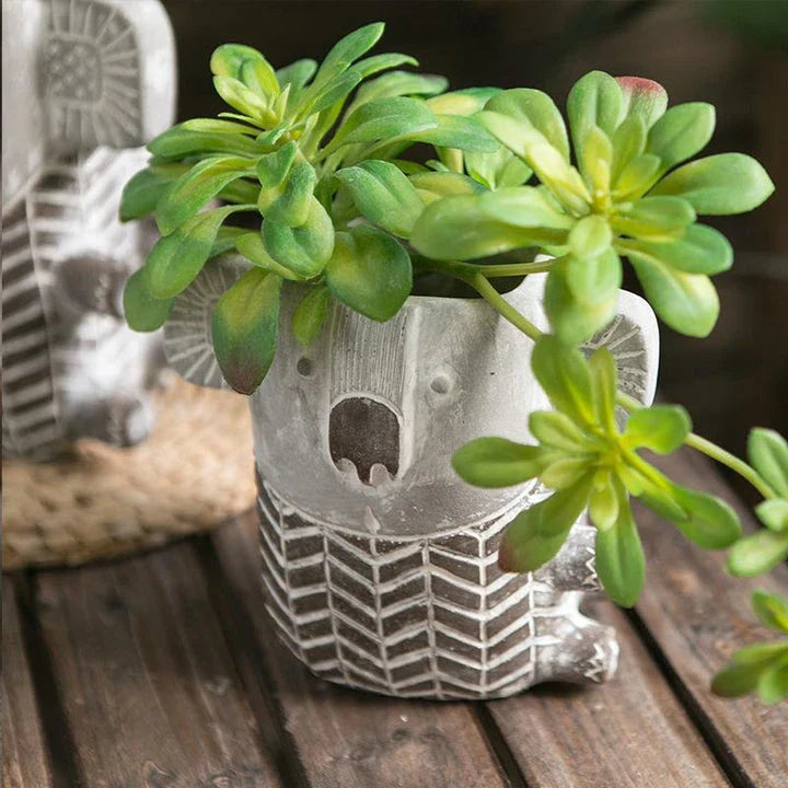 Charming kiwi-inspired koala-shaped cement planter for displaying succulents, small flowers, or as a decorative piece