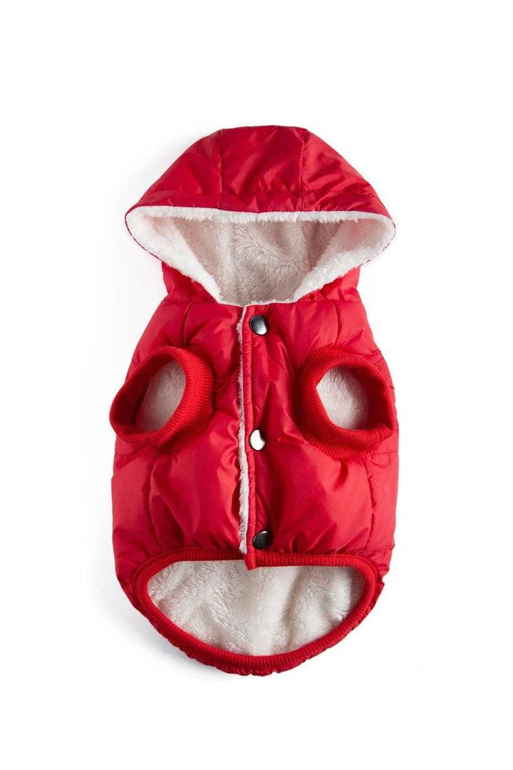 A cozy puffer jacket designed to keep Kiwi cats warm and comfortable during the colder months.