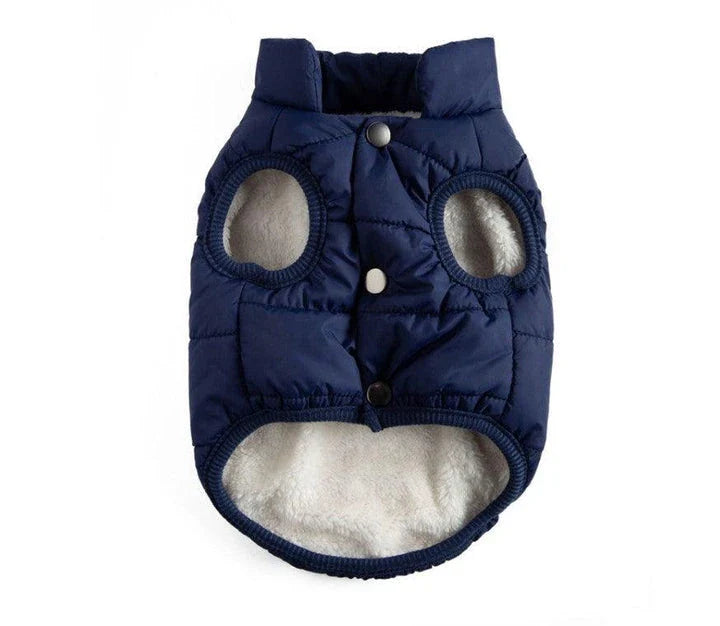 A cozy puffer jacket designed to keep Kiwi cats warm and comfortable during the colder months.