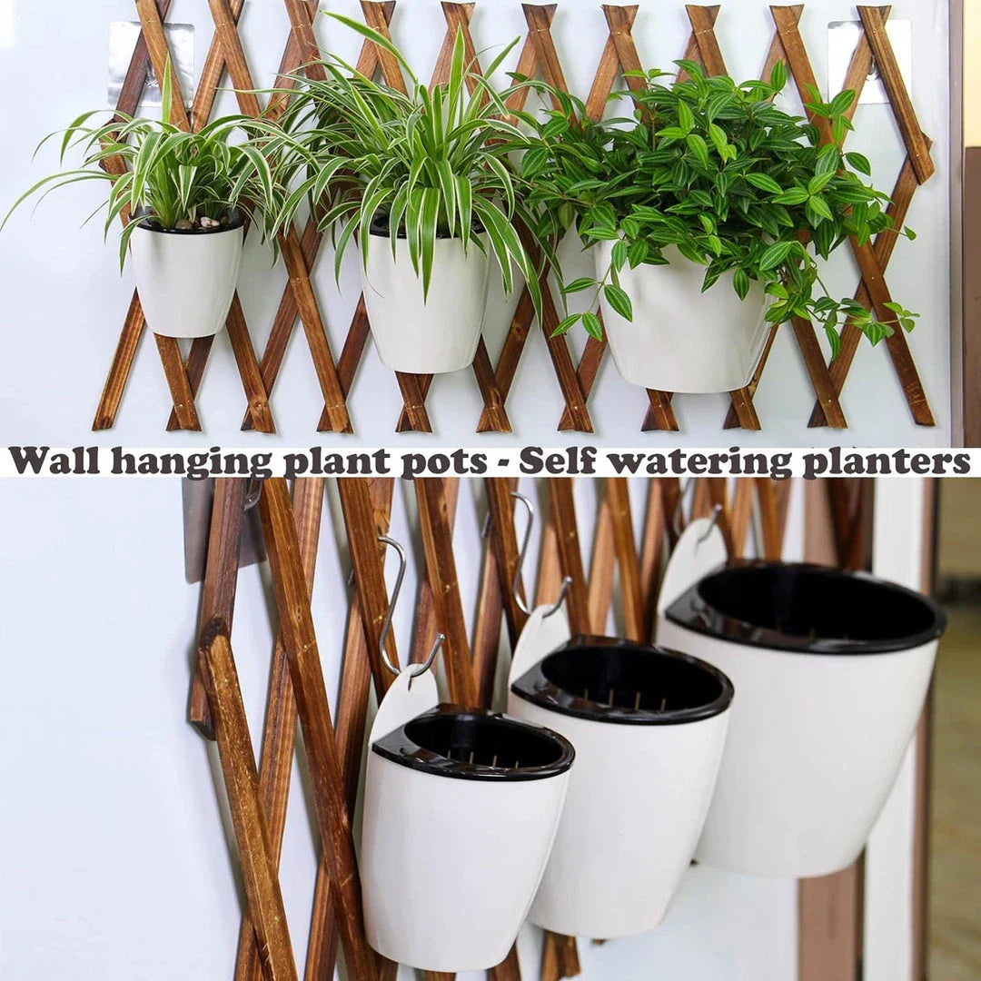 Sleek, wall-mounted hydroponic planter with vertical design, dual-basket system, and automatic watering for easy indoor gardening in New Zealand homes and offices.