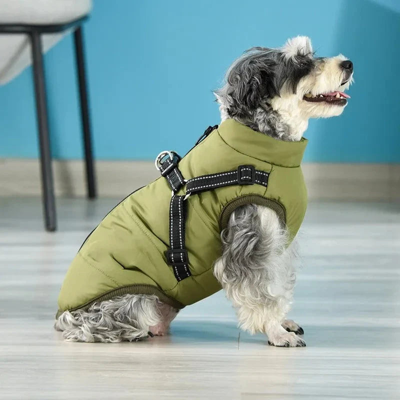 A stylish and practical waterproof dog coat with a built-in harness, designed to keep your pet warm, dry, and safe during outdoor activities.