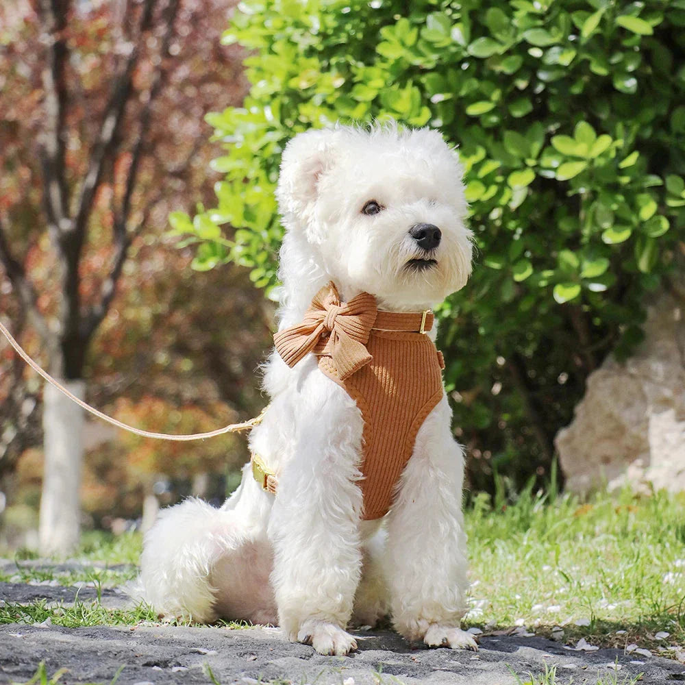 Adjustable mesh dog collar harness and leash set with cute bowknot design, available in various colors for small to medium-sized dogs