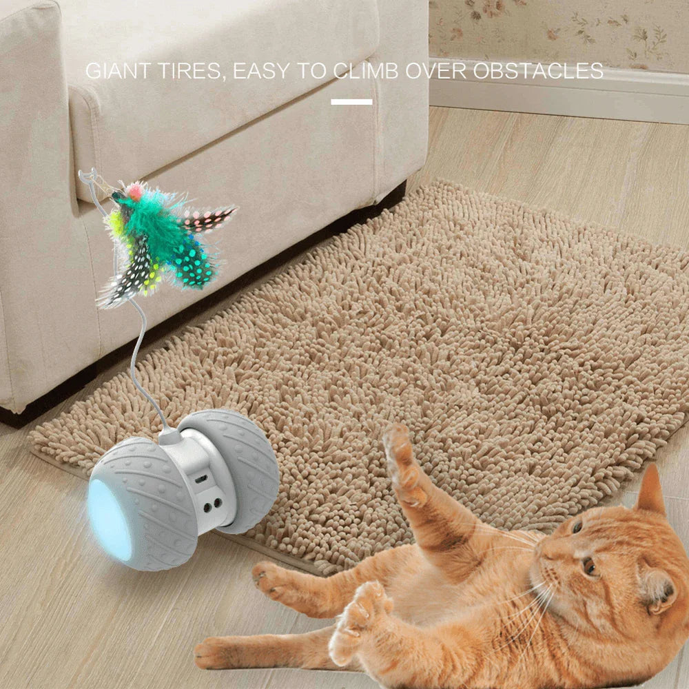 A grey interactive cat toy with a feather attachment, designed to engage a cat's natural hunting instincts and provide long-lasting entertainment.