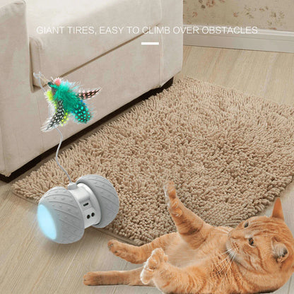 A grey interactive cat toy with a feather attachment, designed to engage a cat's natural hunting instincts and provide long-lasting entertainment.