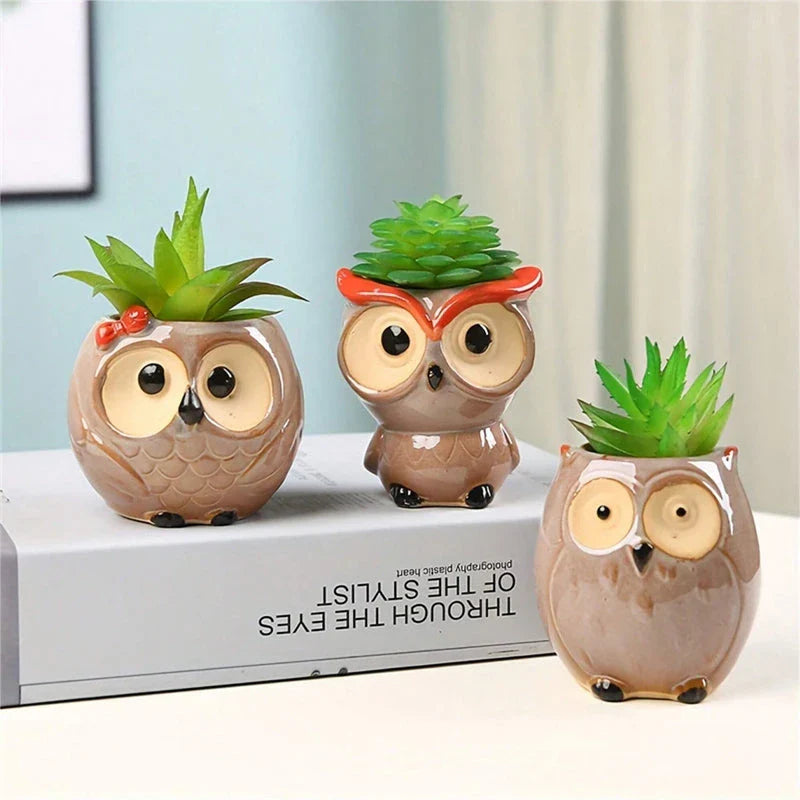 Charming Owl Ceramic Planter, a beautiful and adorable addition to Kiwi homes and offices