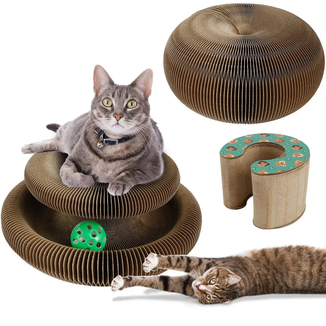 Foldable Magic Organ Cat Scratcher with Toy Ball - Versatile Scratching Board for Cats