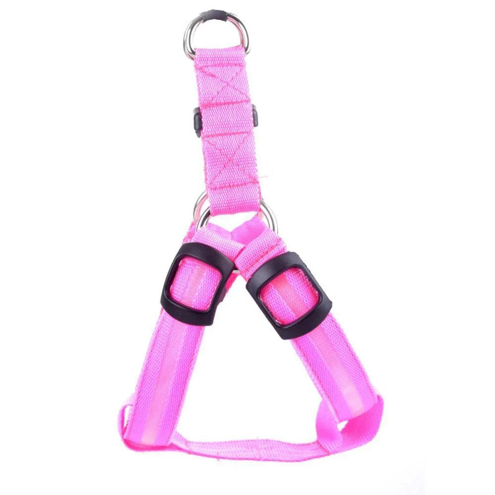 Brilliant luminous dog harness with adjustable nylon design and battery-powered lighting for enhanced visibility during walks and outdoor activities