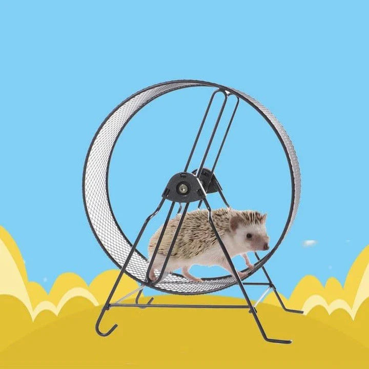 Sturdy metal exercise wheel for small pets like guinea pigs, hamsters, and gerbils, featuring a durable design and compact size for indoor use.