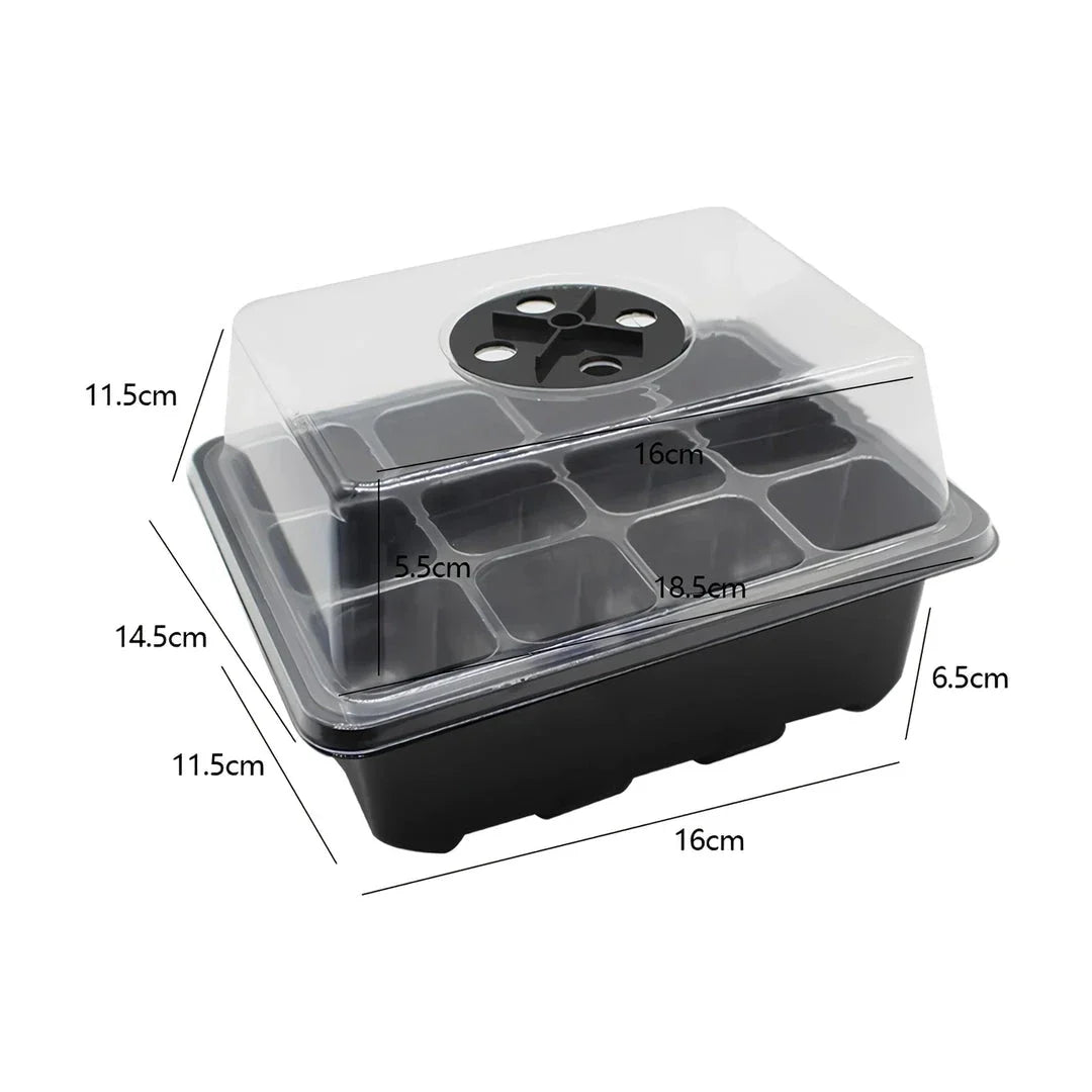 A transparent 12-cell seedling tray with a humidity dome and drainage holes, perfect for growing a variety of plants from seeds.