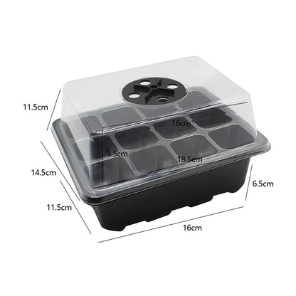 A transparent 12-cell seedling tray with a humidity dome and drainage holes, perfect for growing a variety of plants from seeds.