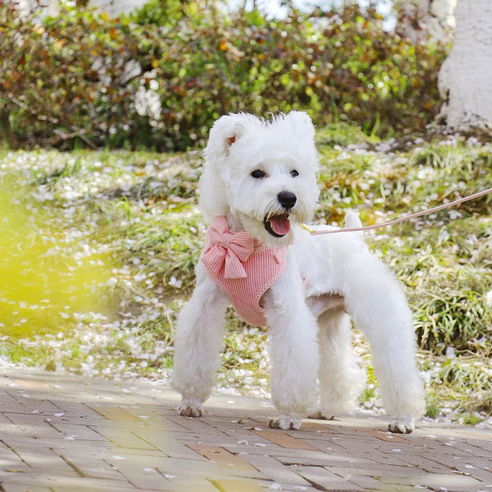 Adjustable mesh dog collar harness and leash set with cute bowknot design, available in various colors for small to medium-sized dogs