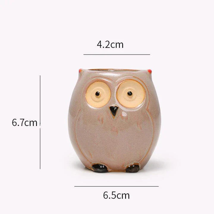 Charming Owl Ceramic Planter, a beautiful and adorable addition to Kiwi homes and offices