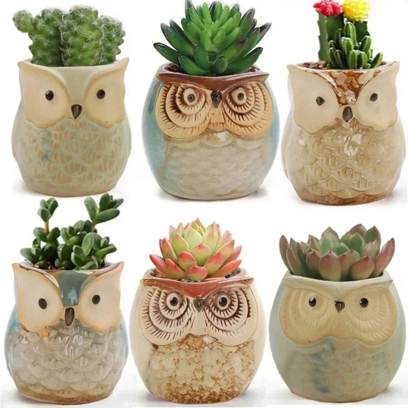 Charming mini owl-shaped ceramic plant pots in various colours, perfect for adding a unique touch to your Kiwi home or garden.