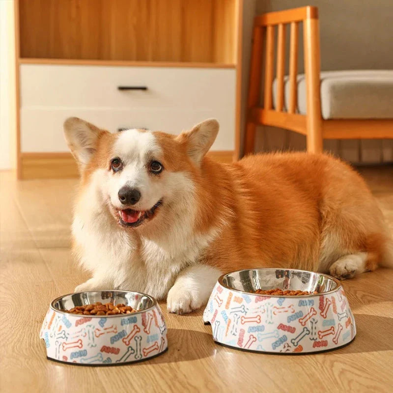 A sturdy and stylish stainless steel pet bowl with an anti-slip base, perfect for feeding Kiwi cats and dogs.