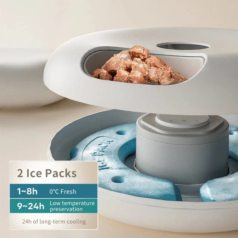 Automatic 6-Meal Pet Feeder with LCD display, adjustable portion control, and wet/dry food compatibility