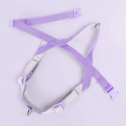 Adjustable no-pull dog harness and leash set in various colours, perfect for comfortable and controlled walks with your Kiwi pup