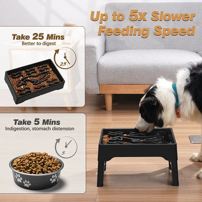 Adjustable elevated dog bowls with slow feeder design, perfect for large Kiwi pups