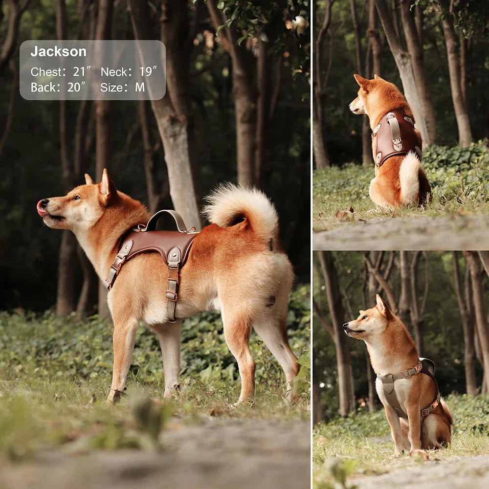 Comfort Fit PU Leather Dog Harness in Brown and Pink colours, designed for medium to large dog breeds