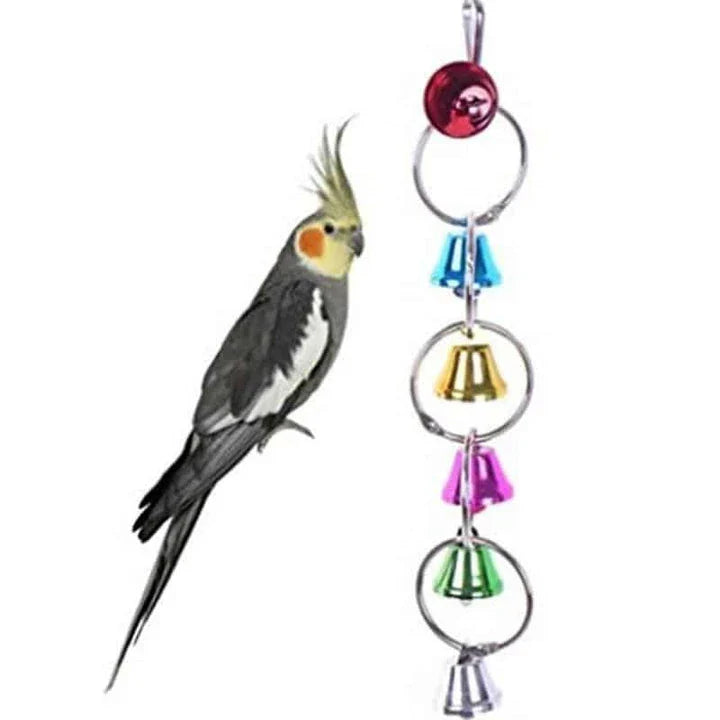 A colorful bird toy with a unique chain-inspired design, perfect for Kiwi bird owners