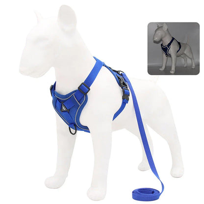 Adjustable Reflective No-Pull Dog Harness and Leash Set for Small to Medium Kiwi Dogs