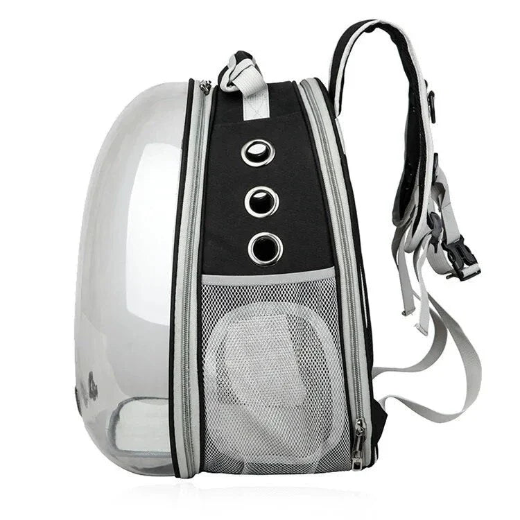 Expandable pet carrier backpack with transparent walls, allowing pets to enjoy the view during travel