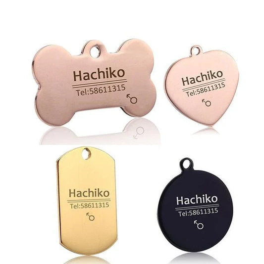 Stylish and secure personalized pet ID tag in a variety of shapes and sizes for Kiwi pets