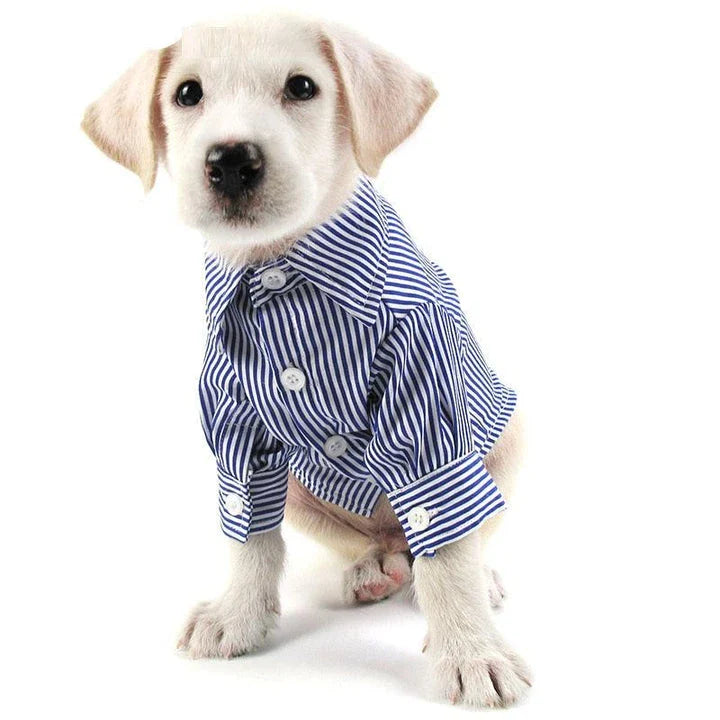 Comfortable and casual striped dog shirt made of soft, breathable Dacron fabric with easy button closure