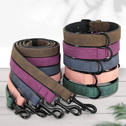 Robust padded dog collar and leash set made of high-quality leather in vibrant colours for active Kiwi pups