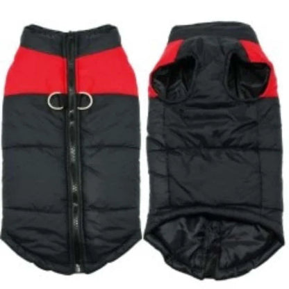 A durable, insulated, and reflective waterproof winter vest for dogs, designed to keep Kiwi pups warm and dry during outdoor activities in New Zealand.