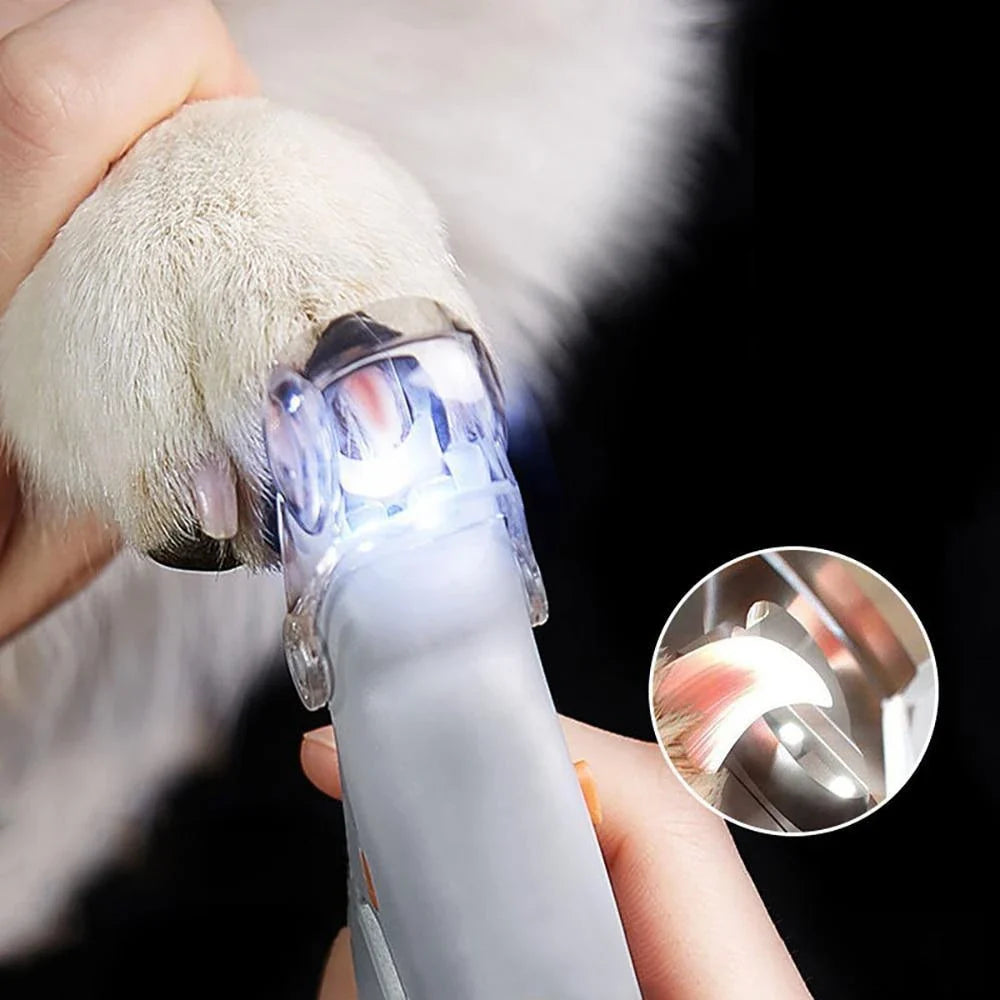 Trusty LED Pet Nail Trimmer - a high-quality, innovative tool for safe and precise nail trimming for your Kiwi pet