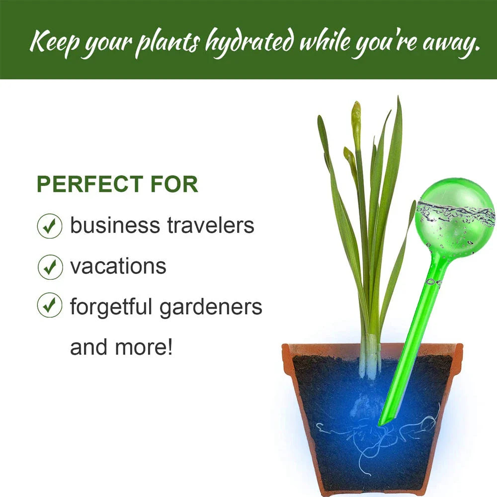 3 transparent auto-watering plant bulbs in different sizes, designed to keep indoor and outdoor plants hydrated and healthy