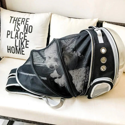 Expandable pet carrier backpack with transparent walls, allowing pets to enjoy the view during travel