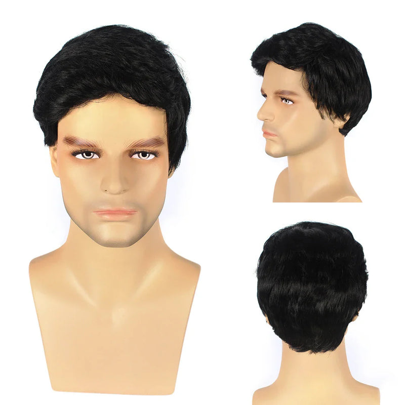 Shopfluxpro NZ Stylish Men's Middle-aged Curly Hair Wig - Short and Fluffy