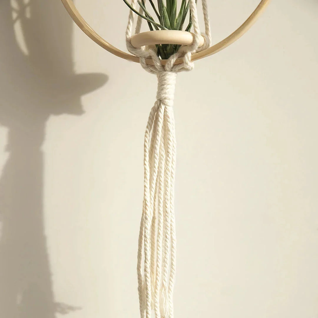 Beige macrame air plant hanging holder with intricate handwoven design, perfect for adding Boho-chic charm to any New Zealand home