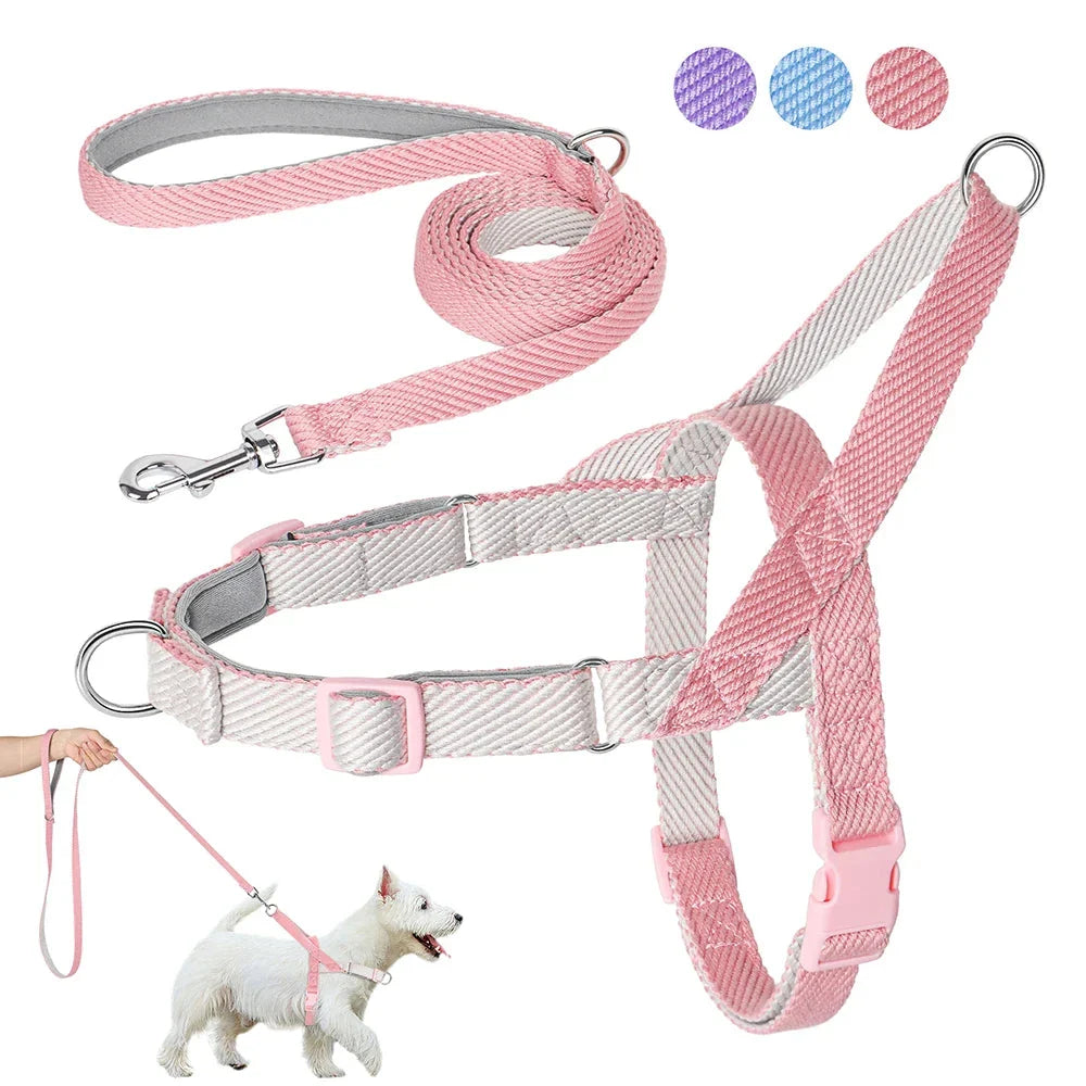 Adjustable no-pull dog harness and leash set in various colours, perfect for comfortable and controlled walks with your Kiwi pup