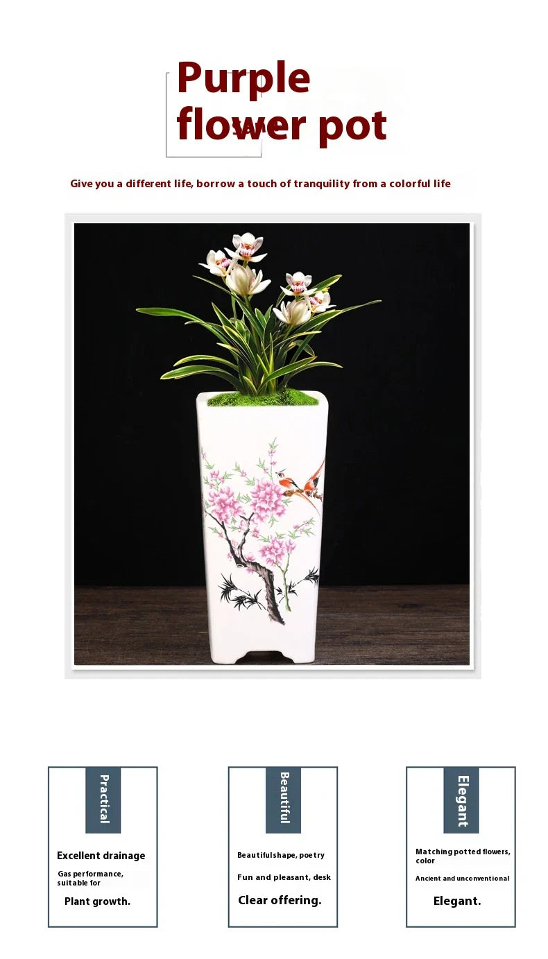 Stylish square ceramic planter in white, suitable for growing asparagus fern, orchids, and herbs on balconies or patios.
