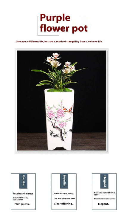 Stylish square ceramic planter in white, suitable for growing asparagus fern, orchids, and herbs on balconies or patios.