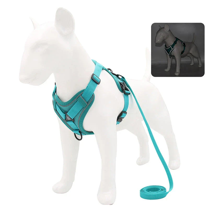 Adjustable Reflective No-Pull Dog Harness and Leash Set for Small to Medium Kiwi Dogs