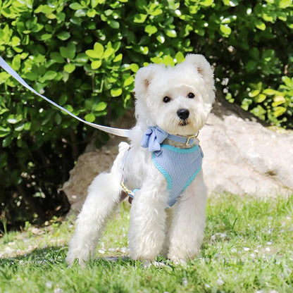 Adjustable mesh dog collar harness and leash set with cute bowknot design, available in various colors for small to medium-sized dogs